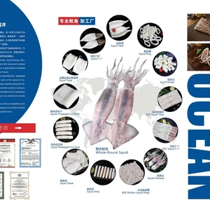 Yantai Transocean Foodstuff Co.,Ltd company overview - view 1 thumbnail