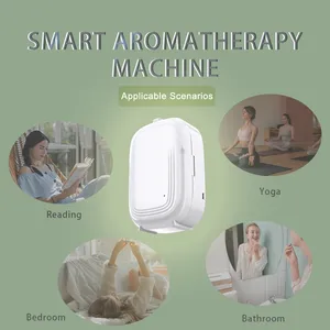 High ROI Cost Performance Purified Aroma Machine Plastic Flip Cover Design Bathroom Aroma Solution Diffuser thumbnail-5