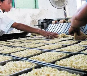 Instant Noodle Production Line Instant Rice Noodle Production Machines thumbnail-4
