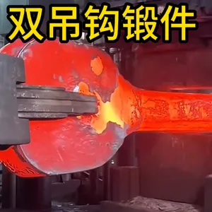 Double Crane Hook Open-Die Forgings | Forged Components | Factory Customization thumbnail-1