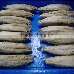 Skiness and Decaptitating Frozen Per-cooked Bonito Tuna Loins(whole Round) thumbnail-1