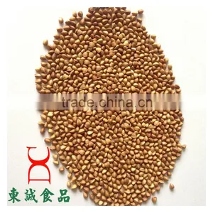 Roasted Buckwheat Organice Grains Wholesale thumbnail-4