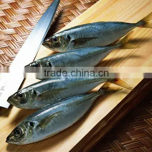 Frozen Horse Mackerel thumbnail-1
