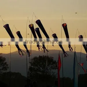 All Kinds of Windsock thumbnail-1
