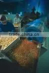 Get Effective Products Industry company overview - view 2 thumbnail