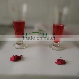 Instant Blueberry Powder Water Soluble Freeze Dried thumbnail-2