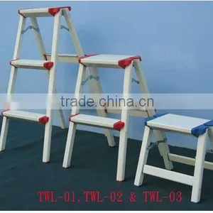 ALUMINUM LADDER thumbnail-1
