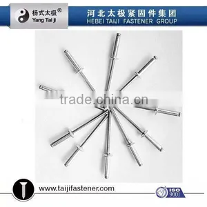 Rivet Screw thumbnail-3