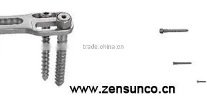 Titanium Spinal Implants Anterior Thoracic Vertebra/Lumbar Spine Plate thumbnail-1