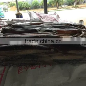 2016 High Quality Frozen Illex Squid 200-300g for Sale thumbnail-2