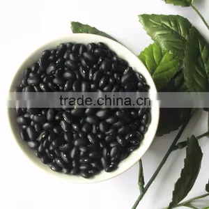 Dired China Bean for Sale in for Black Bean for Sale thumbnail-5