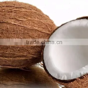 Export Sales Coconuts /fresh Coconuts From India thumbnail-1