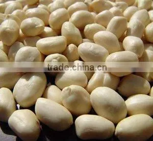 Blanched Peanut 25/29 thumbnail-1