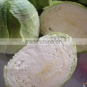 Selling Chinese Fresh Cabbage thumbnail-1