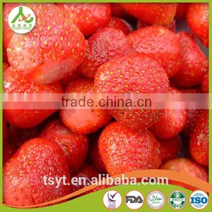 Frozen Strawberry Best Selling Products thumbnail-5
