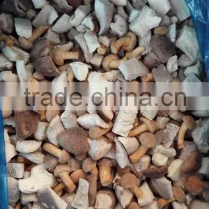 China Dried Mushroom With Stem thumbnail-2