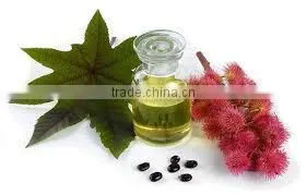 Castor Oil (OEM / ODM ) / Bulk Castor Seed Oil / Refined Castor Oil (Pale Pressed Grade) thumbnail-2