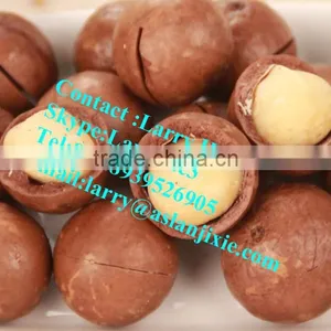 Macadamia Nuts Opening Machine/kindal Opening Machine/queensland Nut Cracker thumbnail-6