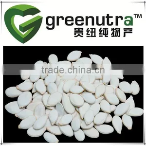 White Pumpkin Seed thumbnail-1