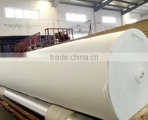 High Quality Continuous Filament Polyester Nonwoven Geotextile thumbnail-1
