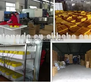 High Hatchability Weiqian Egg Incubator Price 112 Eggs Incubator thumbnail-1