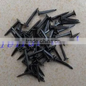 2017 Shoe Tack Agent for Nigeria Market thumbnail-1