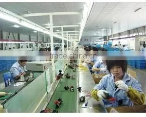 Wuhu Honglilai Auto Electric Co., Ltd. company overview - view 2 thumbnail