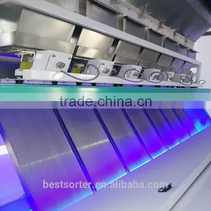 Hot Sale and Prefect Quality Coffee Bean Color Sorter thumbnail-3
