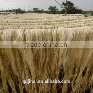 Plant Fiber Extraction Machine thumbnail-1