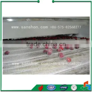 Food Freezing IQF Blast Freezing Vegetable Freezing Machine Frozen Cranberries thumbnail-3