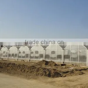 Factory Price Multi-span Plastic Greenhouse thumbnail-3