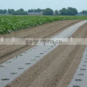Perforate Mulch Films thumbnail-1