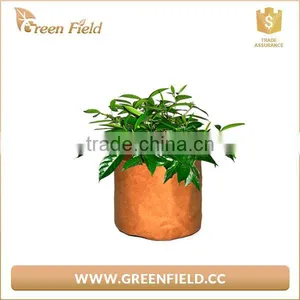 Paper Plant Pot Bag Brown Kraft Paper Planter Pot thumbnail-3