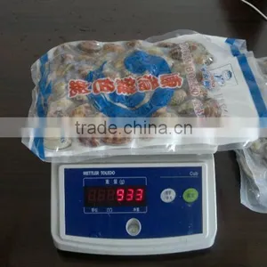 Cooked V-packed Short Necked Clam thumbnail-2