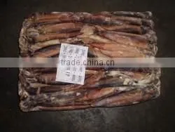 Frozen Illex Squid Whole Round thumbnail-1