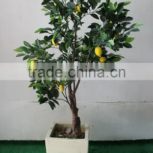 Foliage Plants Bonsai From Guangzhou Factory thumbnail-2