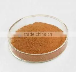 Acanthopanax Root / Elentheroside / Siberian Ginseng / ci wu Jia / HPLC 0.8%,1.0%,1.5% thumbnail-1
