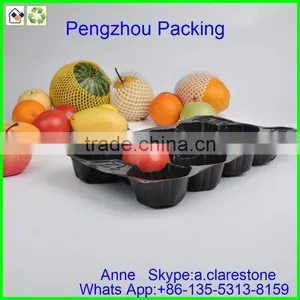 Pengzhou Autoclavable Plastic Tray thumbnail-4