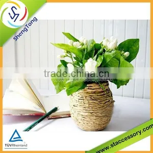 Hot Sale High Quality Nature Raffia thumbnail-1