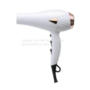 Competitive Price Professional Salon Use Hair Dryer With AC Motor thumbnail-2