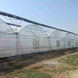 Durable Multi Span Agriculture Equipment Polythene Greenhouse thumbnail-5