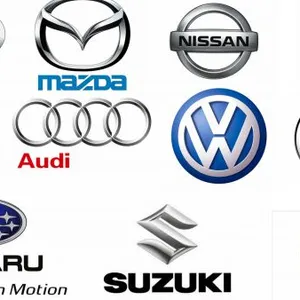 Jinan Ayumi Trading Co.,Ltd company overview - view 2 thumbnail