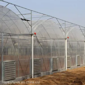 Multi Span PE Film Agricultural Greenhouse thumbnail-3