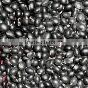 Black Beans thumbnail-1