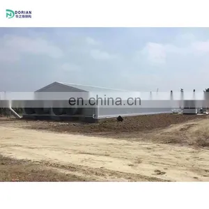16000 Temporary Poultry Closed System House Shed Chickens House With Fans thumbnail-5