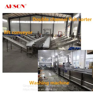 Belt Weight Sorting Machine for Fish thumbnail-3