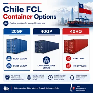 Servicio de envío de contenedores de carga completa (FCL) de China a Chile y trámite de aduanas thumbnail-2
