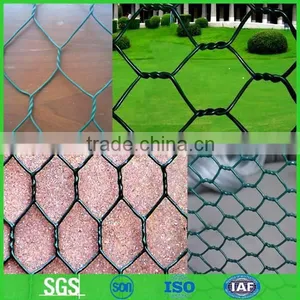 Lowest Price Chicken Wire Mesh, Chicken Wire for Sale(Factory) thumbnail-1