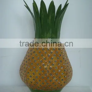 Iron Pineapple thumbnail-1