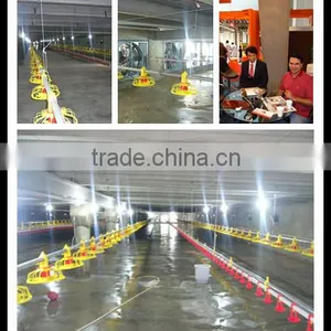Chicken Automatic Feeder Direct Selling by Manufacturer thumbnail-3
